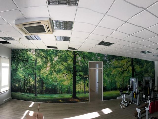 Panorama: Das Waldmotiv prägt den kompletten Raumeindruck.